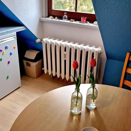 Haus Heideprinzess, Nils & Lars * Graal-Mueritz